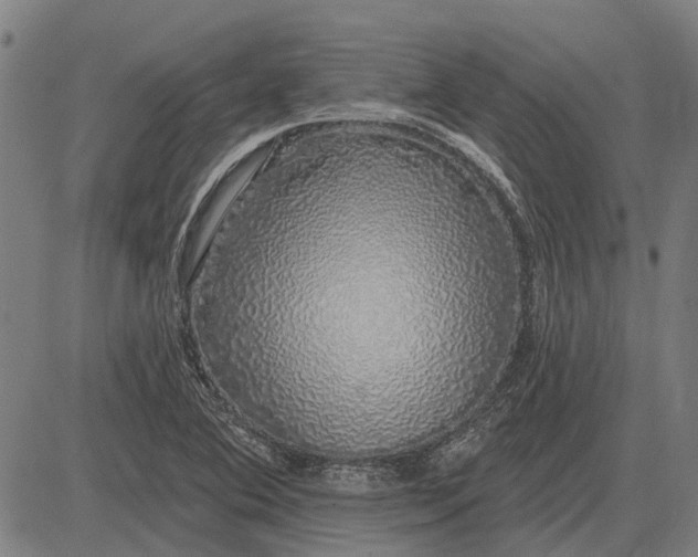 X0000083071364200702161811