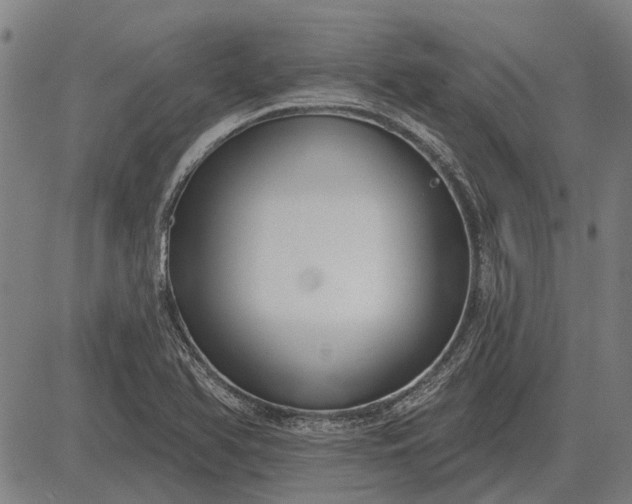 X0000083071366200702161811