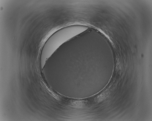 X0000083071367200702161811