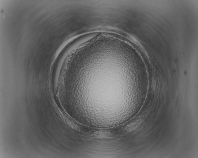 X0000083071368200702161811