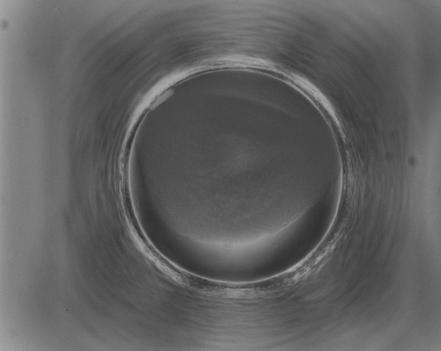 X0000083071381200702161811
