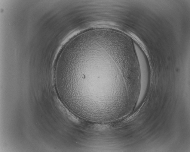 X0000083071384200702161811