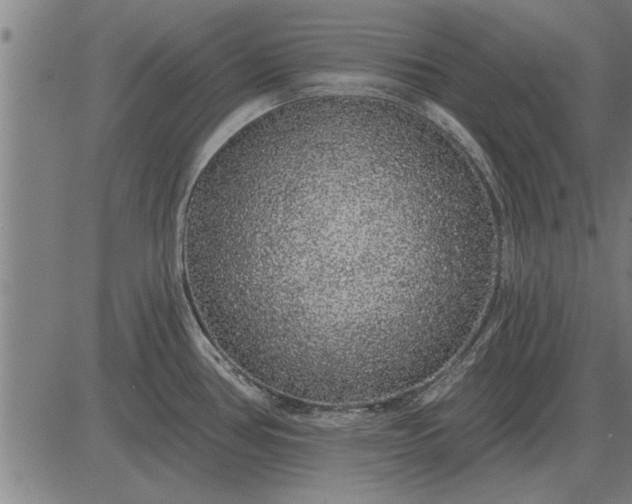 X0000083071386200702161811