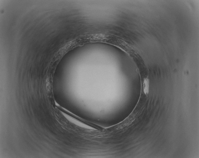 X0000083071395200702161810