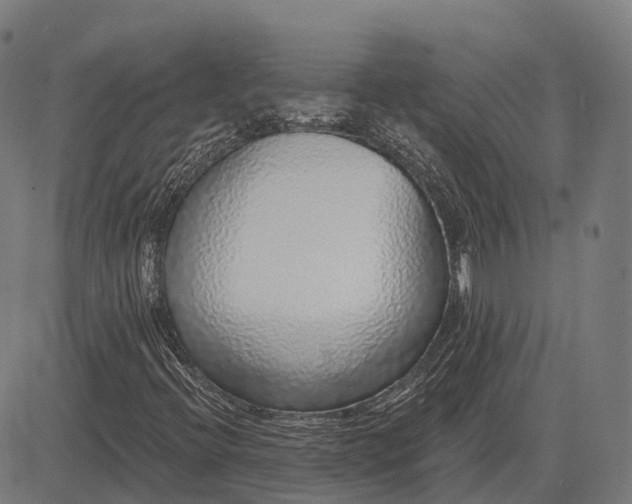 X0000083071396200702161810