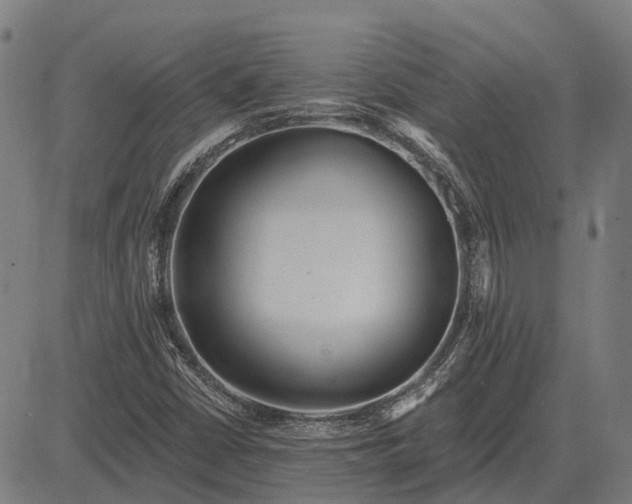 X0000083071402200702161810