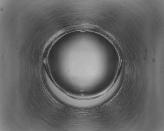 X0000083071410200702161810