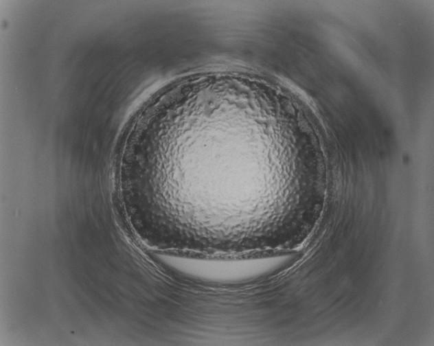 X0000083071415200702161810