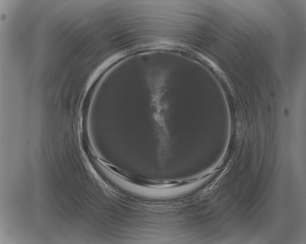 X0000083071418200702161810