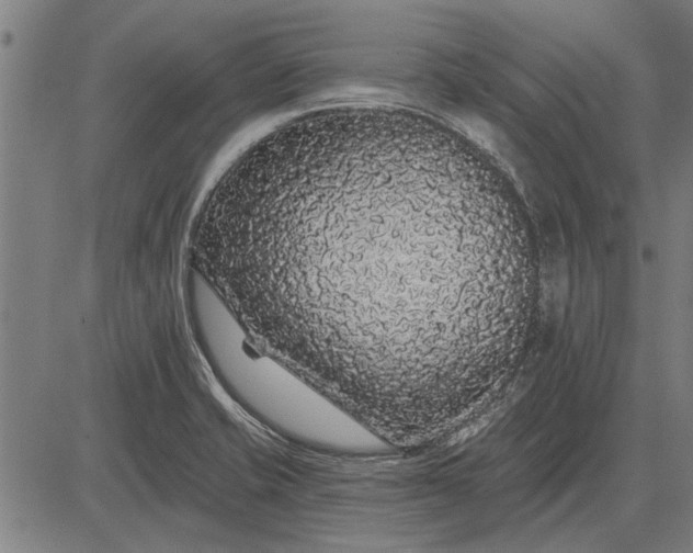 X0000083071421200702161810