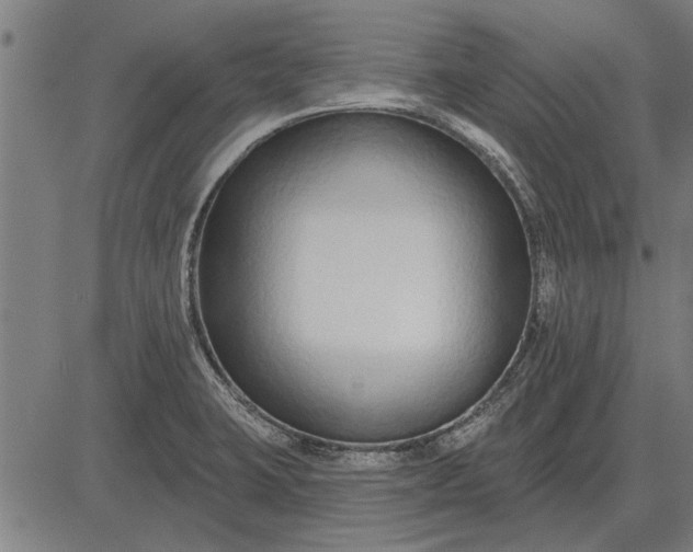X0000083071423200702161810