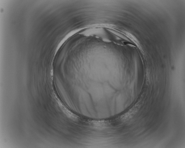 X0000083071428200702161810