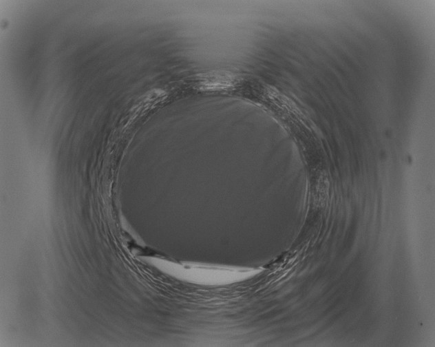 X0000083071441200702161810
