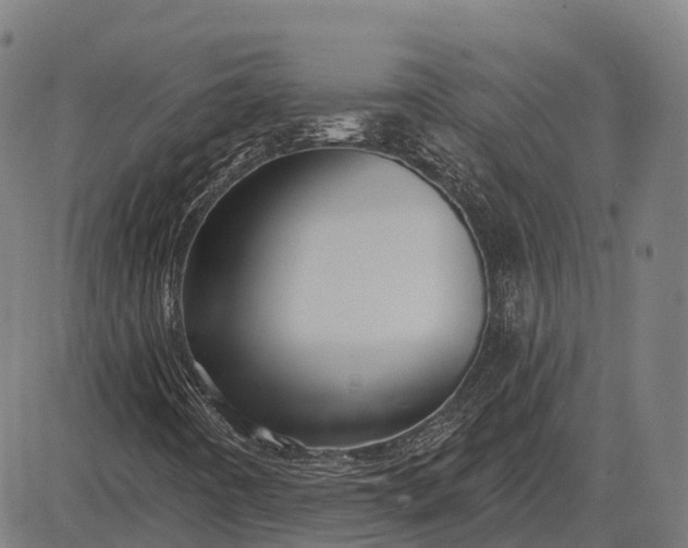 X0000083071442200702161810