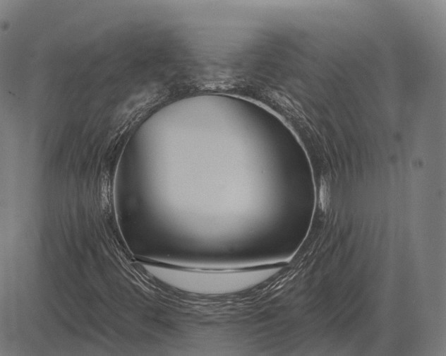 X0000083071444200702161810