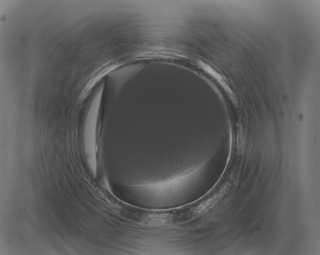 X0000083071453200702161809