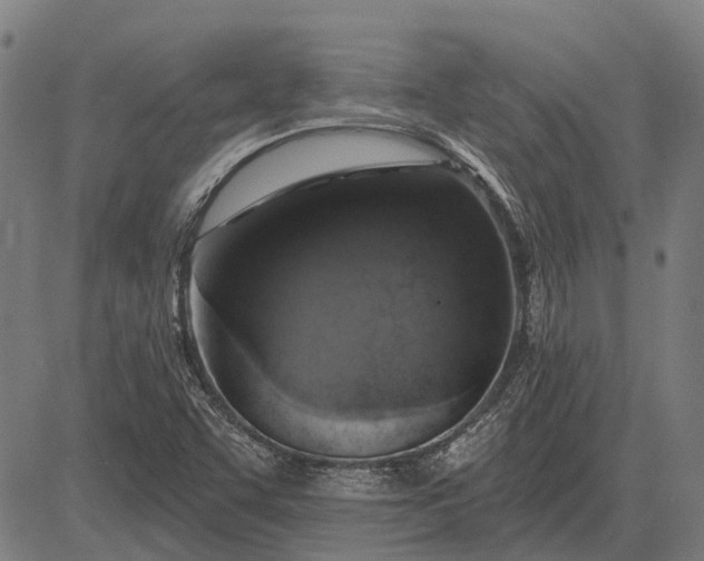 X0000083071455200702161809