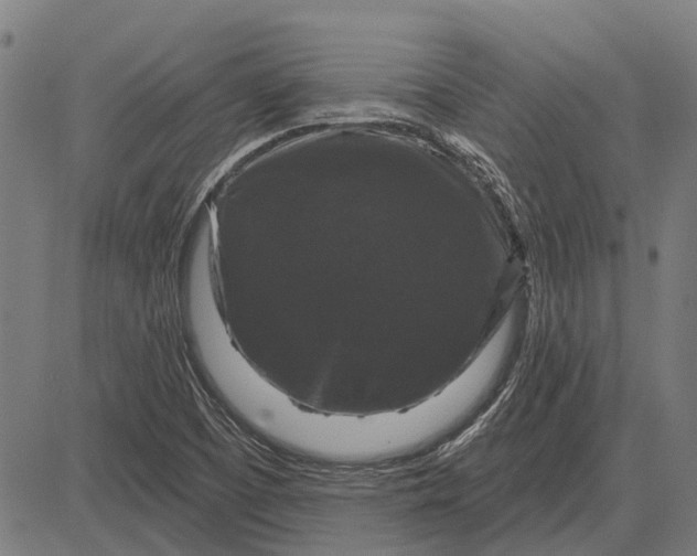 X0000083071457200702161809