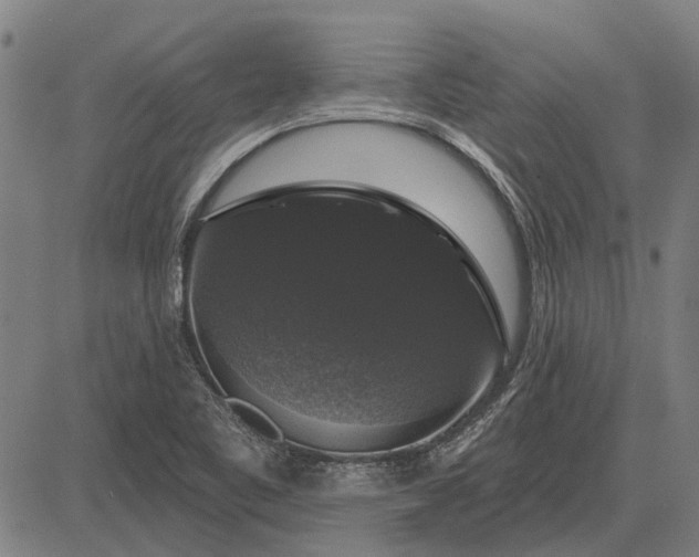X0000083071461200702161809