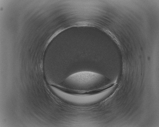 X0000083071465200702161809