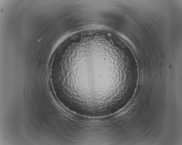 X0000083071467200702161809