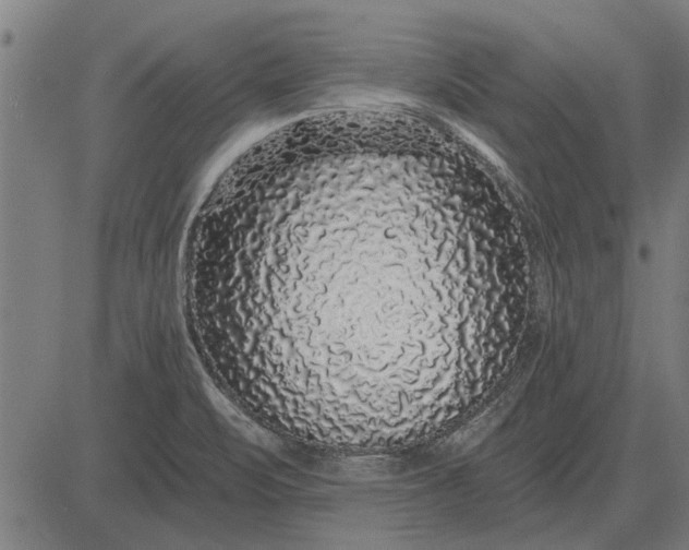 X0000083071471200702161809