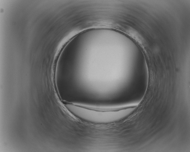 X0000083071480200702161809