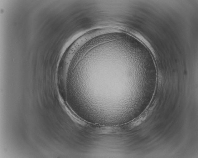 X0000083071485200702161809