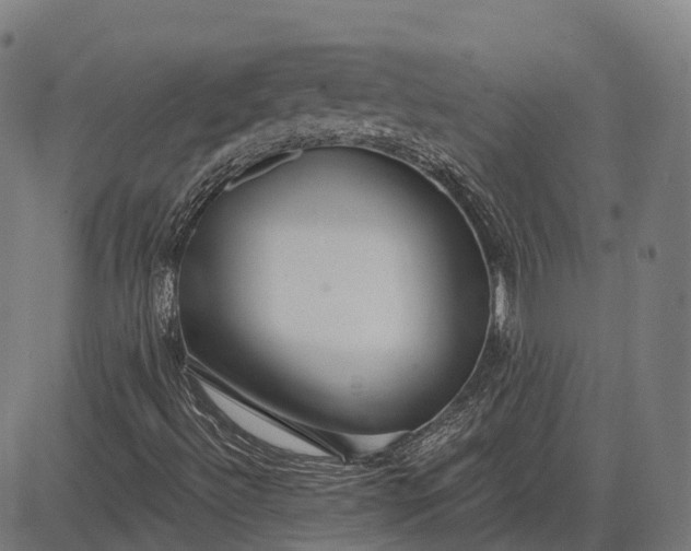 X0000083071492200702161808