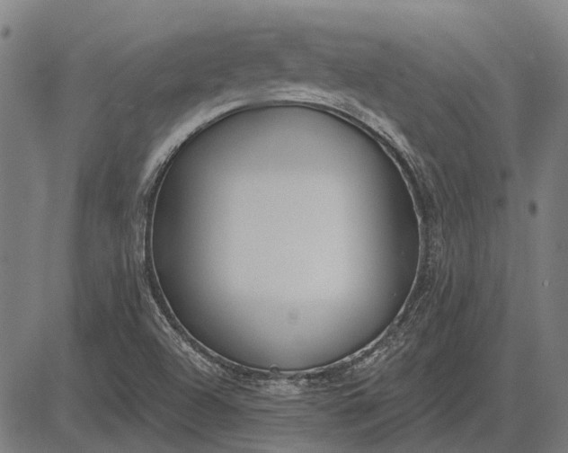 X0000083071504200702161808