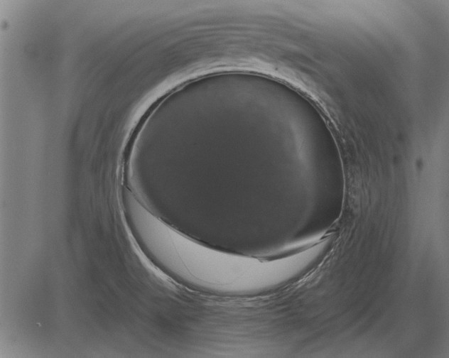 X0000083071519200702161809