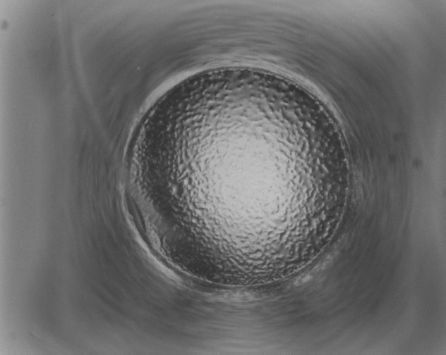 X0000083071525200702161809