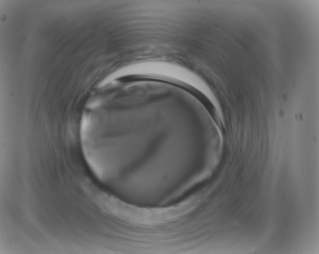 X0000083070035200702232058