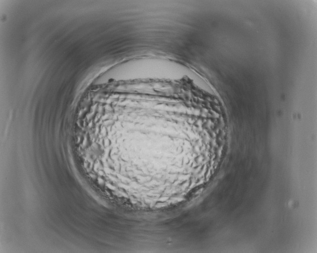 X0000083070049200702232057