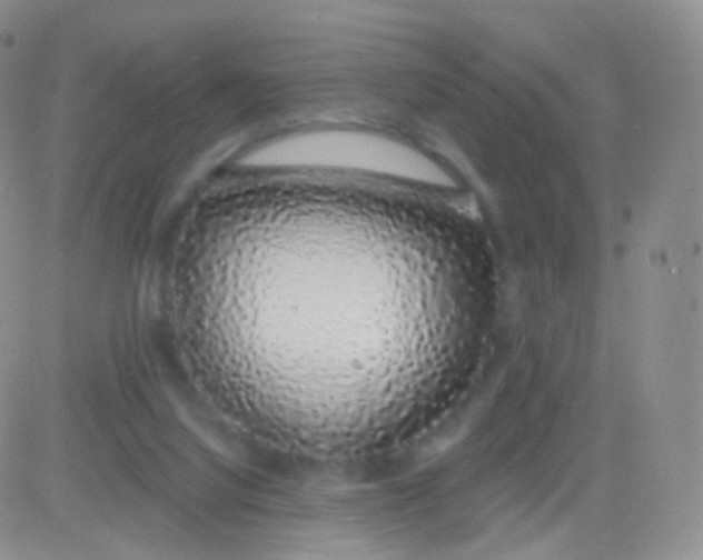 X0000083070068200702232057