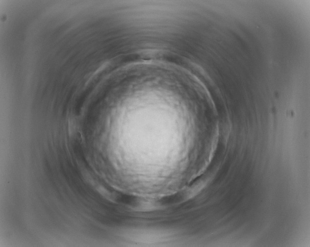 X0000083070093200702232058