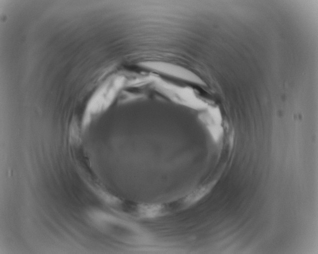 X0000083070143200702232056