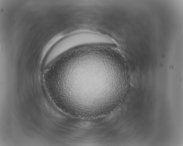 X0000083070152200702232055