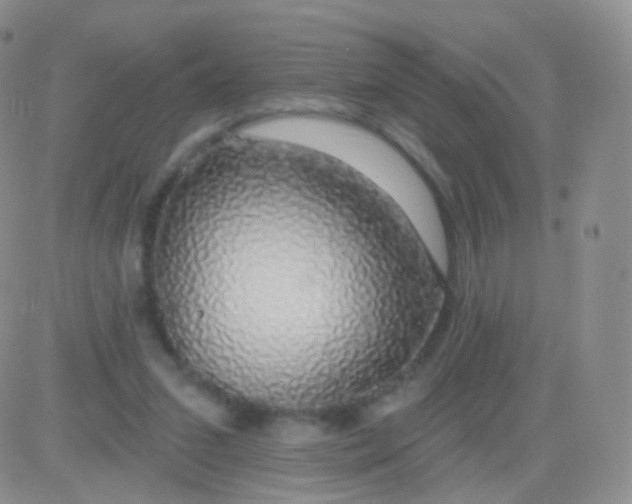 X0000083070207200702232055