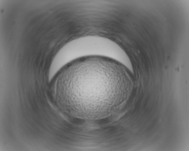 X0000083070280200702232054