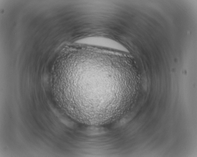 X0000083070375200702232053