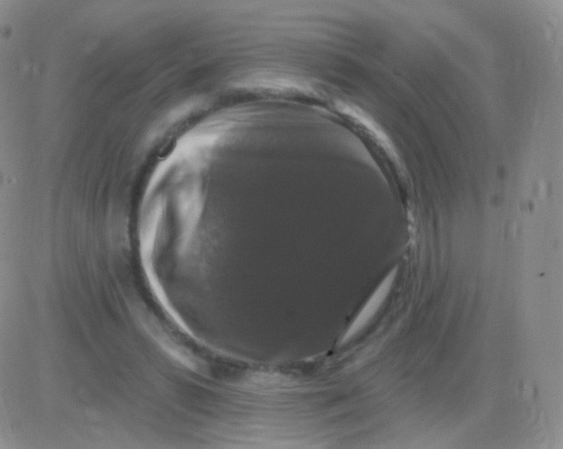 X0000083070399200702232052