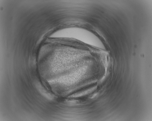 X0000083070407200702232052