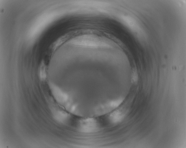 X0000083070431200702232051