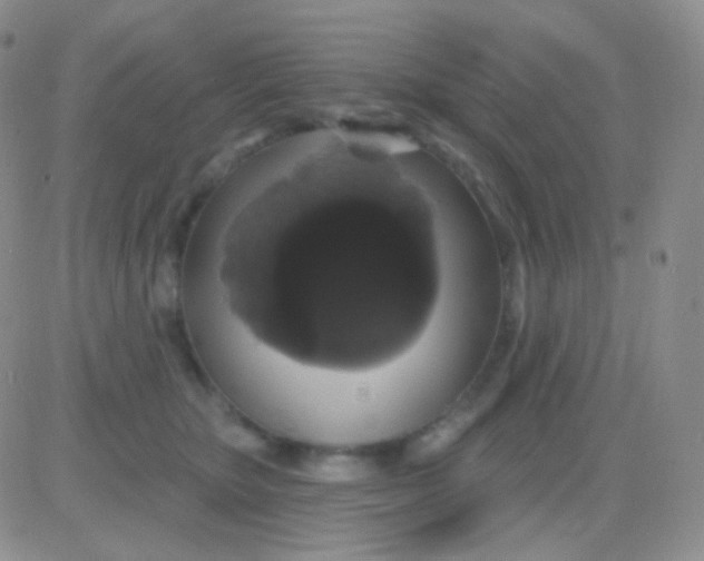 X0000083070467200702232051