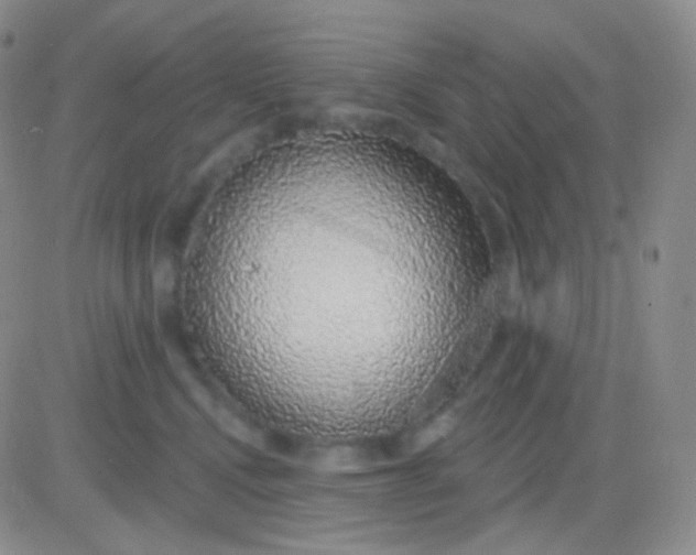X0000083070472200702232051