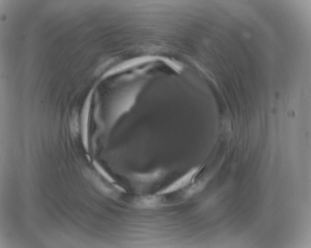 X0000083070479200702232051