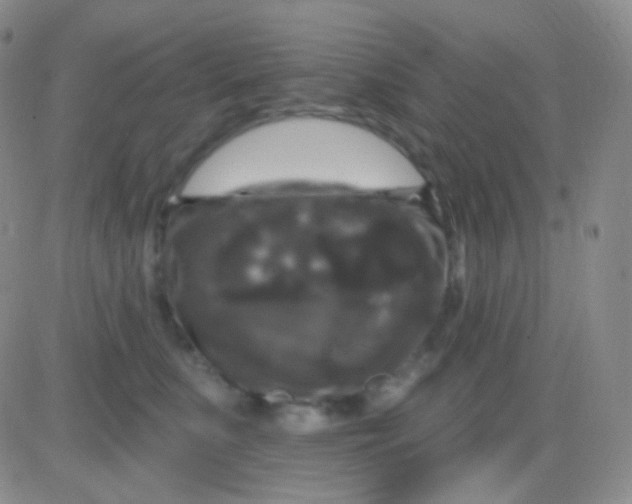 X0000083070519200702232050