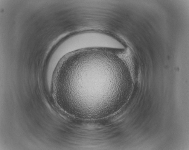X0000083070540200702232049
