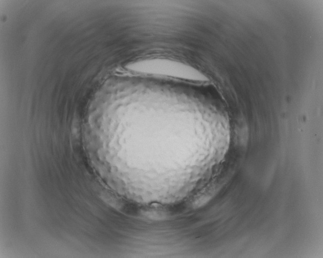 X0000083070561200702232049